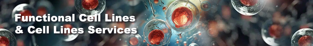 Antibodies